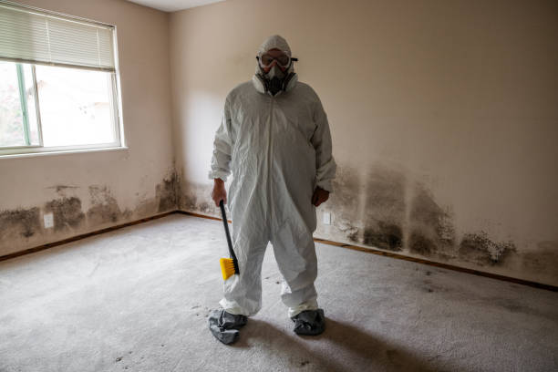 Best Forensic Mold Investigation  in Granite Bay, CA